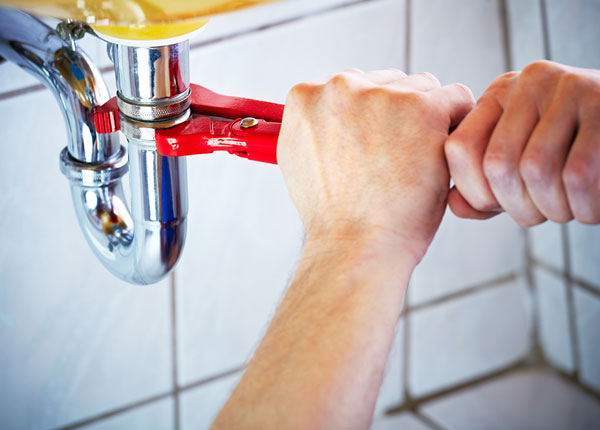 About Royal City Plumbers